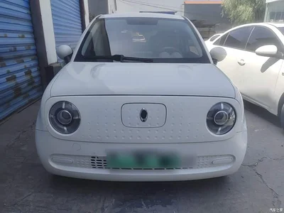 2019 Ora Black Cat Model 351km Smart Fun Edition, фото 3, лот 10330550