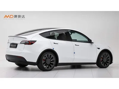 2022 Tesla Model Y Performance High-Performance All-Wheel Drive Version, фото 3, лот 10898873