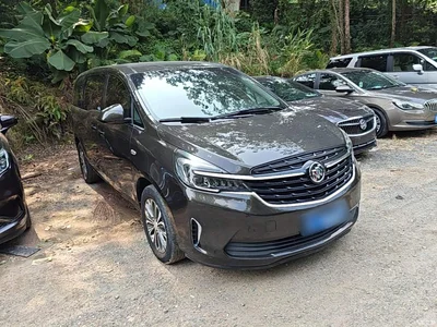 2021 Buick GL8 Land Business Class 652T Comfort, фото 4, лот 10894352
