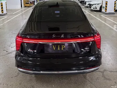 2024 Hongqi H5 1.5T DCT Smart Connect Flag Rhythm Edition, фото 4, лот 10889401