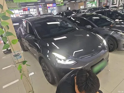 2024 Tesla Model Y Rear-Wheel Drive Version, фото 4, лот 10440964