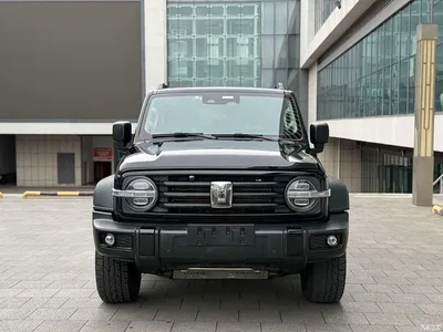 2021 Tank 300 Off-road Version 2.0T Conqueror, фото 2, лот 10766534