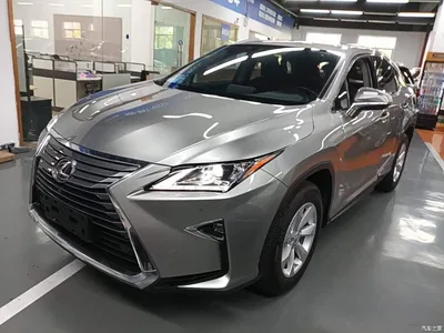 2016 Lexus RX 300 2WD Comfort Edition China V, фото 2, лот 10598244