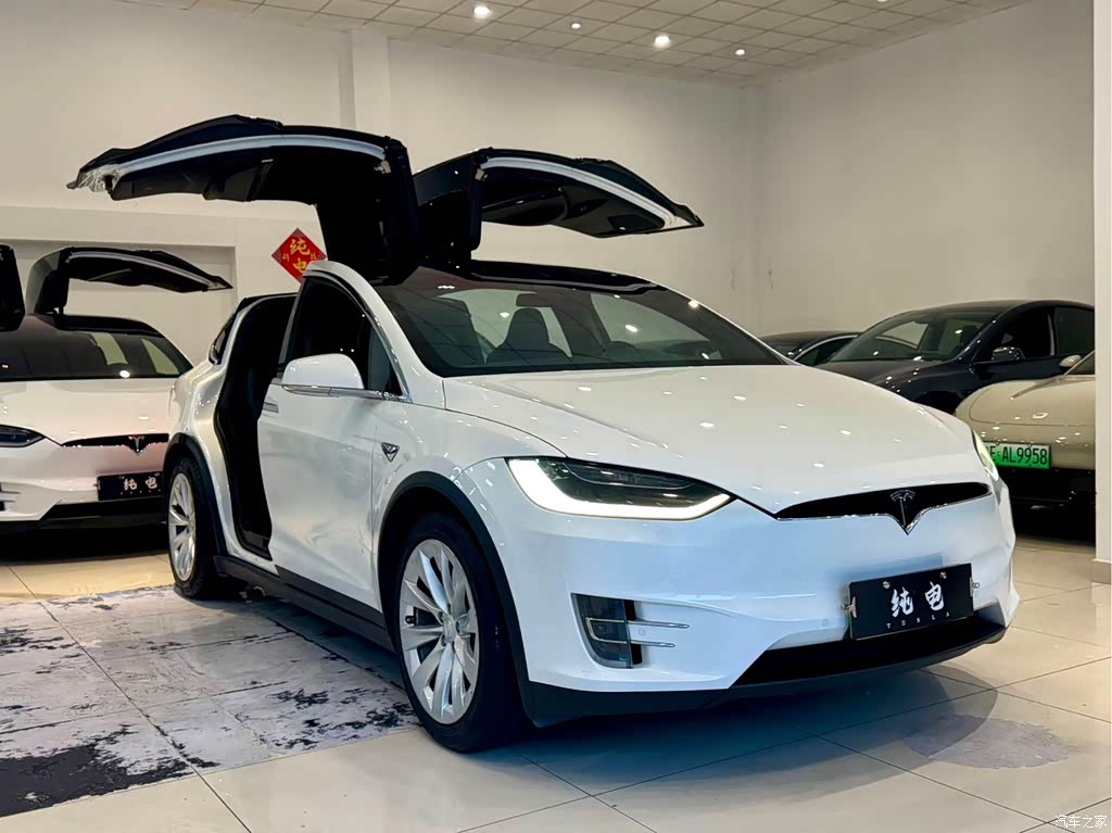 2016 Tesla Model X 75D, фото 3, лот 11133865