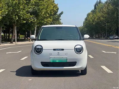 2022 Changan Qiyuan Changan Lumin 155km Fresh Edition, фото 2, лот 10407800