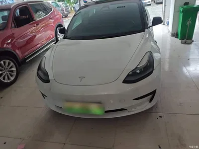 2022 Tesla Model 3 Model Rear-Wheel Drive Version, фото 3, лот 11241675