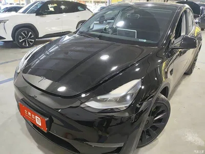 2023 Tesla Model Y Long Range All-Wheel Drive Edition, фото 1, лот 11571535
