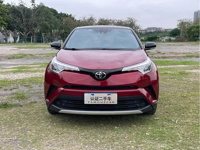 2020 Toyota IZOA 2.0L Yi Xiang Edition, фото 2, лот 10384898