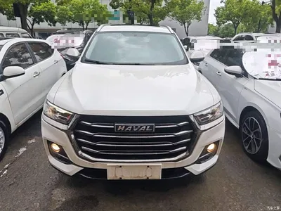 2021 Haval H6 National Trend Edition 1.5T Automatic Urban Edition, фото 3, лот 10302130