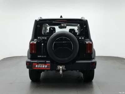 2021 Tank 300 Off-road Version 2.0T Conqueror, фото 4, лот 11349872