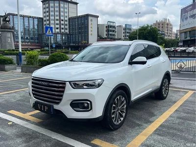 2020 Haval H6 1.5GDIT Automatic Platinum Champion Edition, фото 1, лот 10299104