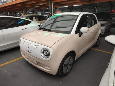 2022 Ora Black Cat 301km Cute Pet Edition (LFP), фото 1, лот 10330777