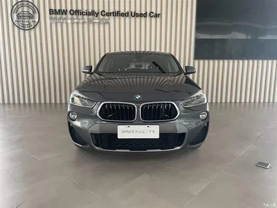 2019 BMW X2 (Import) sDrive25i Leading M Off-Road Package China VI, фото 2, лот 10398673