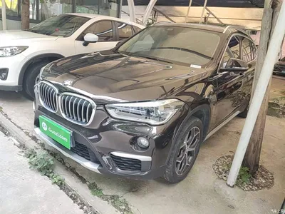 2019 BMW X1 sDrive18Li Premium Model, фото 2, лот 10467961