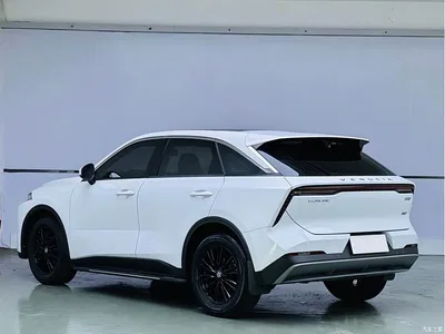 2021 Venucia Big V 260T Idol Edition, фото 4, лот 11146675