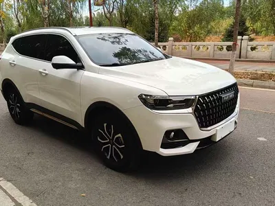 2023 Haval H6 National Trend Edition 1.5T Automatic Urban, фото 3, лот 11571524