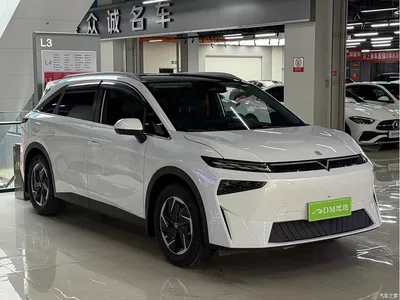 2023 Venucia VX6 520 Pro, фото 1, лот 10481187