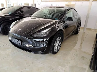 2022 Tesla Model Y Rear-Wheel Drive Version, фото 2, лот 10369753