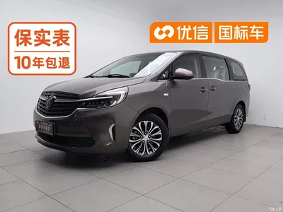 2021 Buick GL8 Land Business Class 652T Comfort, фото 1, лот 10248826