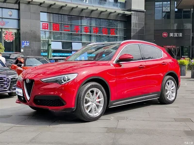 2017 Alfa Romeo Stelvio 2.0T 200HP Luxury Edition, фото 1, лот 10239816