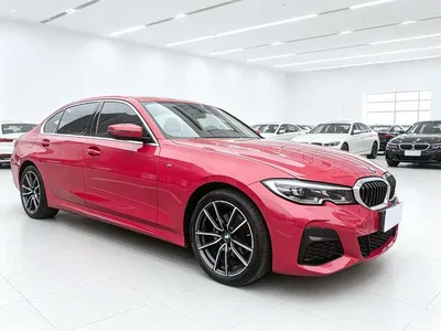 2020 BMW 3 Series 320Li M Sport Package, фото 3, лот 11102980