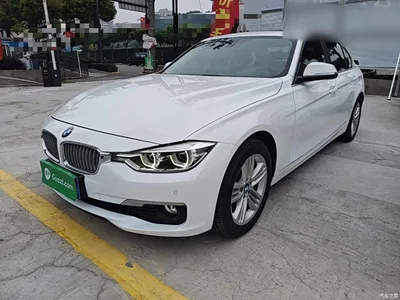 2018 BMW 3 Series 318Li, фото 2, лот 11195247
