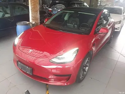2019 Tesla Model 3 Standard Range Rear-Wheel Drive Upgrade, фото 2, лот 10370546