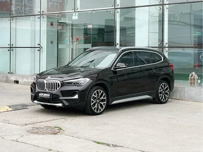 2020 BMW X1 xDrive25Li Premium Edition, фото 1, лот 10464976