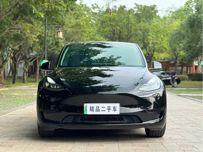 2022 Tesla Model Y Facelift Rear-Wheel Drive Version, фото 2, лот 11097733