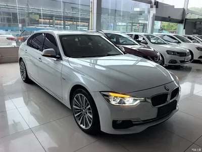 2018 BMW 3 Series 320Li Leading Luxury Package, фото 4, лот 11188997