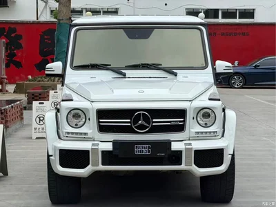 2016 Mercedes-Benz G-Class AMG Model AMG G 63 Edition 463, фото 1, лот 10306861