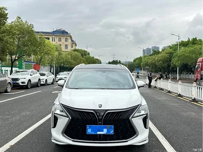 2022 Dongfeng Fengxing Yacht 1.5T DCT Wave Chaser Edition, фото 2, лот 11148019