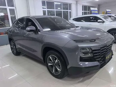 2023 Jetour Dasheng 1.5T DCT Starlight PRO, фото 3, лот 10822279