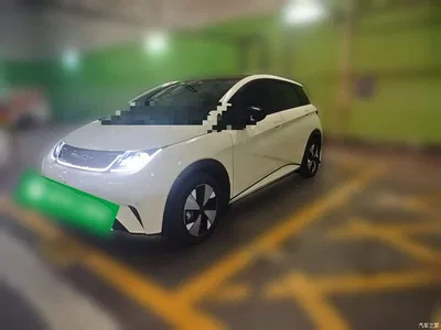 2023 BYD Dolphin 420km Fashion Edition, фото 1, лот 10387615