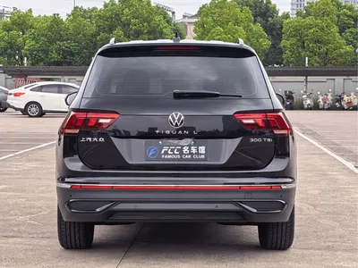 2024 Volkswagen Tiguan L Model Outstanding Edition 300TSI Auto 2WD Longxing Version, фото 4, лот 11016869