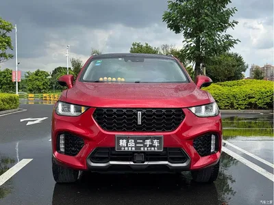 2017 WEY VV5 2.0T Flagship Model, фото 2, лот 10451334
