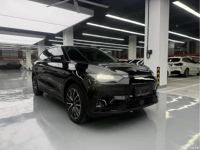 2023 Leapmotor C11 Model Pure Electric 500 Intelligent Driving Edition, фото 3, лот 10445056