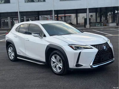 2020 Lexus UX 260h Explore Cool Edition, фото 3, лот 10318614