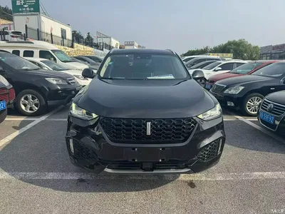 2018 WEY VV6 2.0T 2WD Super Luxury China V, фото 2, лот 10451829