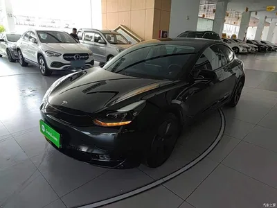 2021 Tesla Model 3 Standard Range Rear-Wheel Drive Upgrade, фото 2, лот 10369740