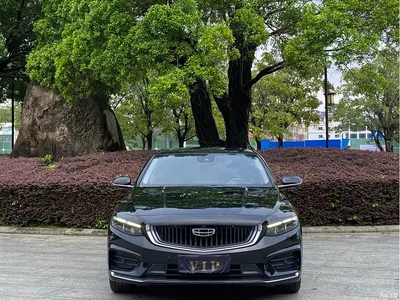 2021 Geely Xing Rui 2.0TD Premium, фото 2, лот 10359855