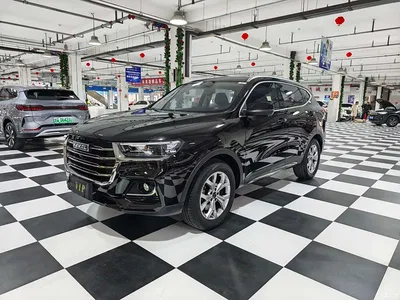 2021 Haval H6 Model National Trend Edition 1.5T Auto Champion, фото 1, лот 10283008