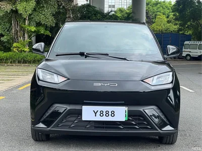 2023 BYD Seagull Freedom Edition, фото 2, лот 10247908