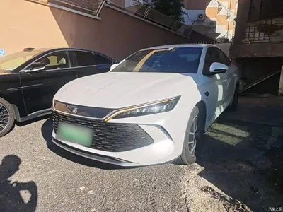 2025 BYD Qin L DM-i Smart Drive Edition 120KM Surpassing, фото 2, лот 10265766
