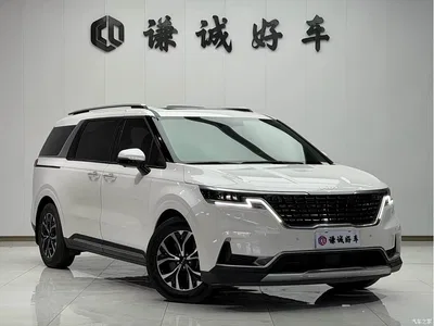 2021 Kia Carnival 2.0T Flagship Edition, фото 3, лот 10394873