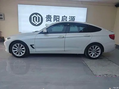 2019 BMW 3 Series GT 320i Fashion Model, фото 3, лот 10473498
