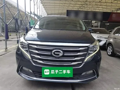 2018 GAC Trumpchi Trumpchi M8 320T Premium Edition, фото 3, лот 10421714