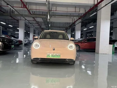 2021 Ora Good Cat 400km Standard Range Venus Edition (NCM), фото 2, лот 10330369