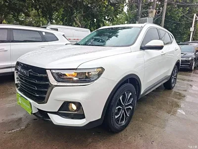 2021 Haval H6 National Trend Edition 1.5T Automatic Urban Edition, фото 2, лот 11179550