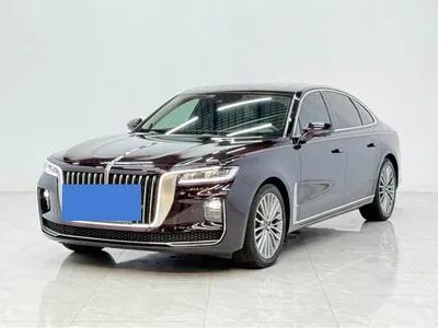 2023 Hongqi H9 Model 2.0T Smart Connect Flagship Edition, фото 1, лот 10288314